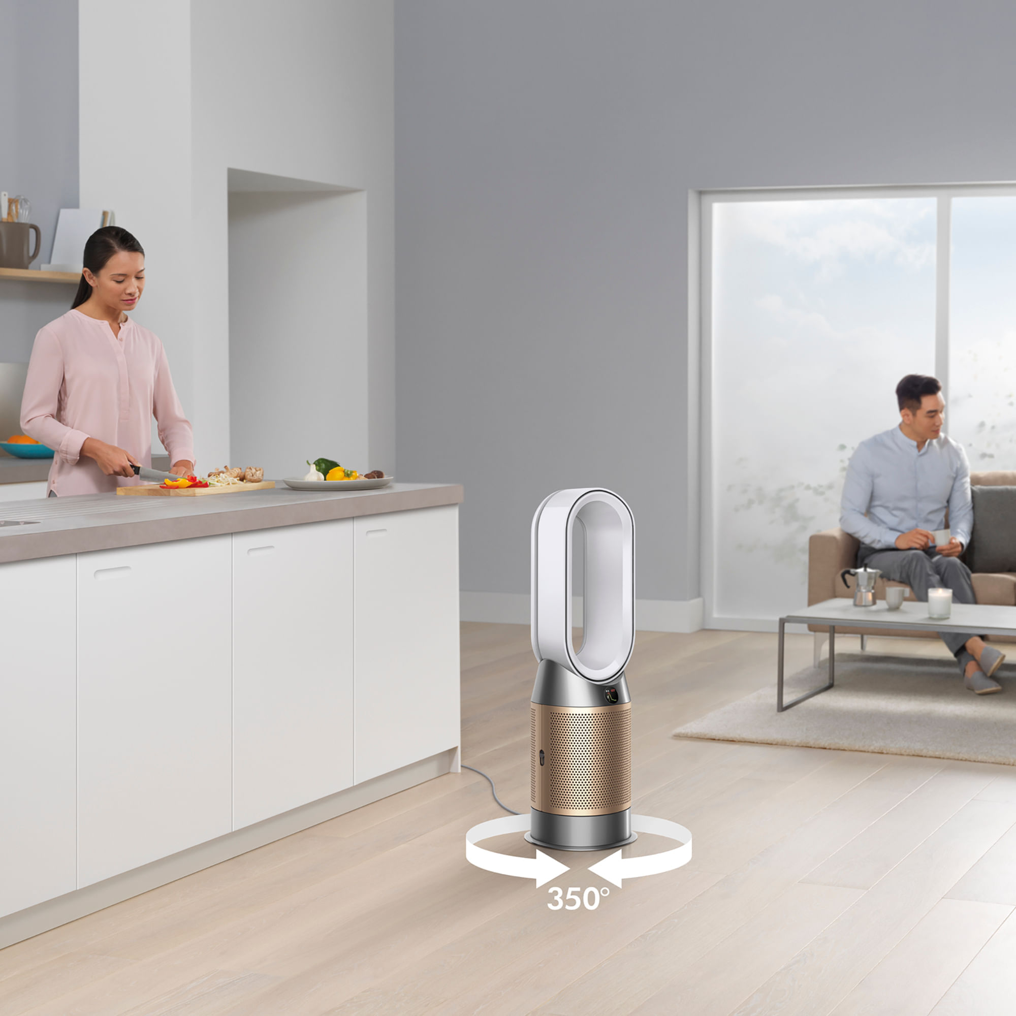 Purificador Dyson Purifier Hot+Cool HP09